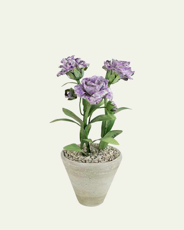 Carnation January Birth Flower in White Terracotta Pot